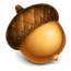 acorn